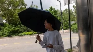 Dog-meat soup, chicken broth: North Korea suggested ways to beat the heat