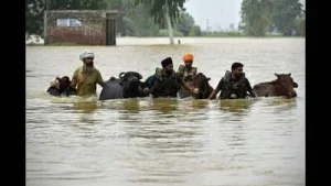 Punjab can't afford to ignore climate finance