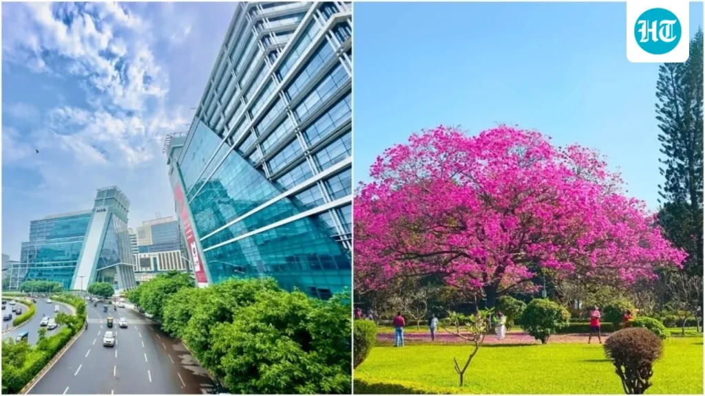 Woman gets honest about moving to Bengaluru from Gurgaon for work: 'You start