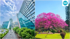 Woman gets honest about moving to Bengaluru from Gurgaon for work: 'You start