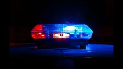 Camellias resident booked for assaulting house help after video goes viral: Cop