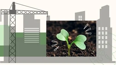 How India's law on retrospective environmental clearances evolved - and where it