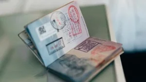 Seeking US visa? USCIS grants officers more denial power amid Trump crackdown;
