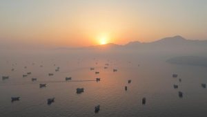 Fewer than 20 commodity vessels transited the Strait of Hormuz at ​the weekend, shipping data showed