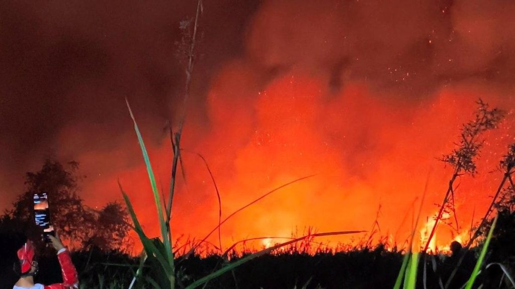 Plantation owners and traditional farmers often start fires to clear land for farming, said Mohammad