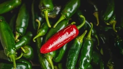 Taylor Farms recalls 20 jalapeno products as Salmonella outbreak sickens 345 across