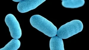 Causes, symptoms, treatment explained