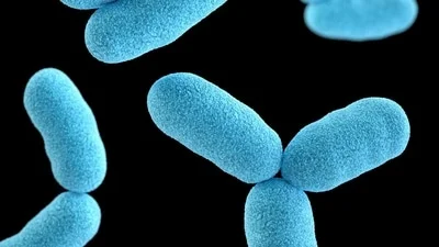 Causes, symptoms, treatment explained
