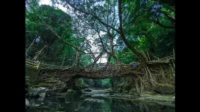 Meghalaya records 58% monsoon rainfall deficit, IMD raises concern
