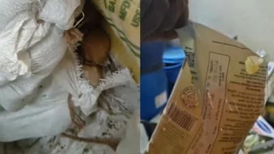 FDA inspects Indira canteens in Bengaluru after 'rats found' in kitchens