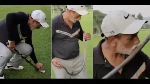 A cobra kiss gone amiss