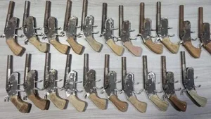 STF busts Illegal firearms racket in Meerut; one held, 21 pistols recovered