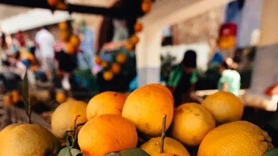 Forget gold and copper. Africa's latest boom is in blueberries and oranges