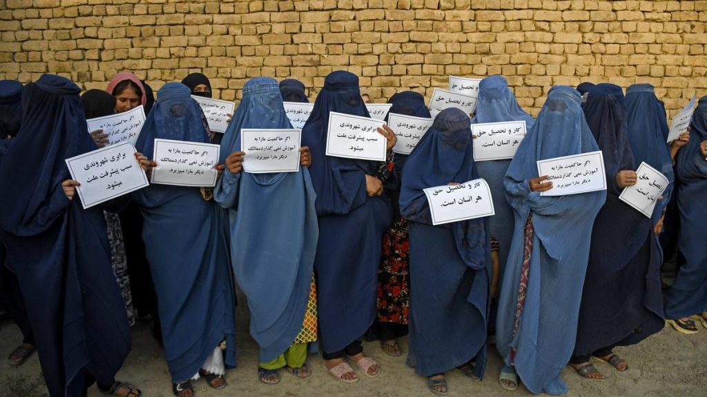 HRW criticises 'ruthless' Taliban government as new law bans protest: A practical reader guide
