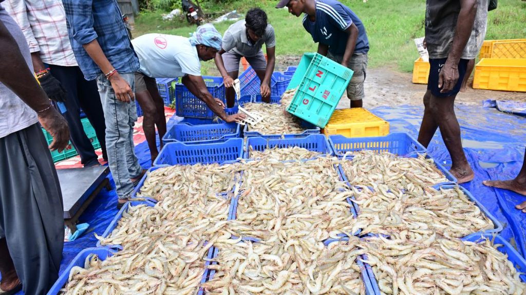 Fish workers plan protest to demand land rights, reservation: A practical reader guide