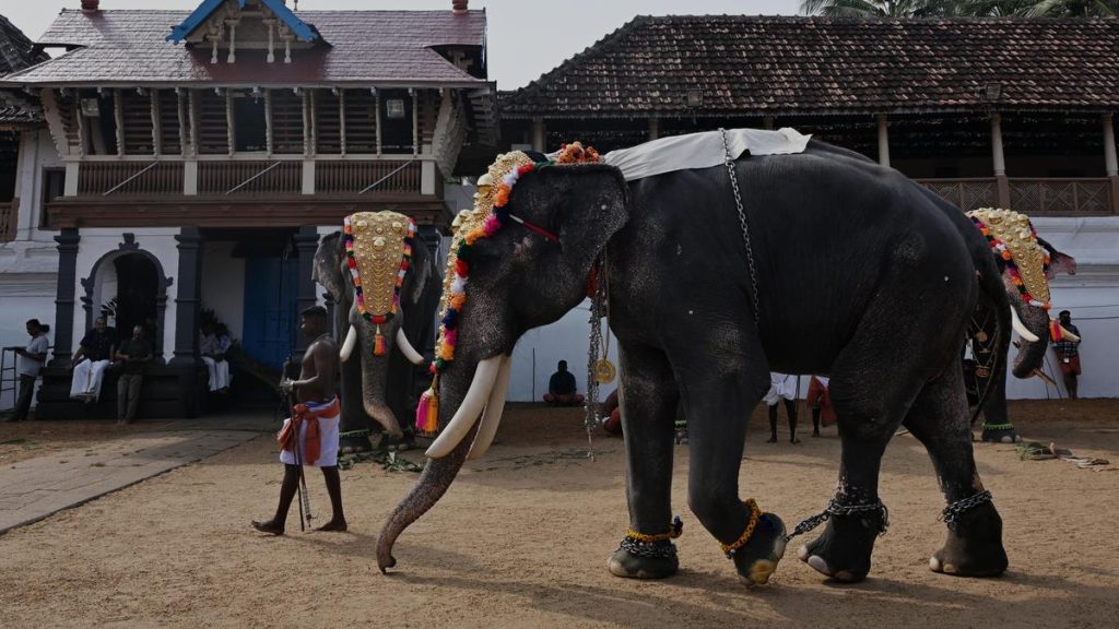 Rather, we lay emphasis on the upkeep, well-being and healthcare of these elephants