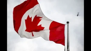 Guest column | Why Punjab's youth must look beyond 'Canada dream'