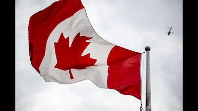 Guest column | Why Punjab's youth must look beyond 'Canada dream'