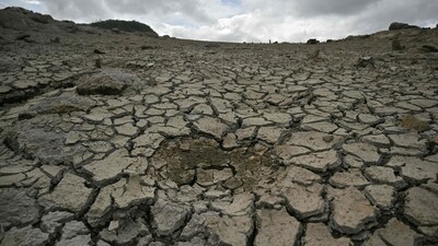 “2023 and 2024 were fairly bad years too, due to El Nino