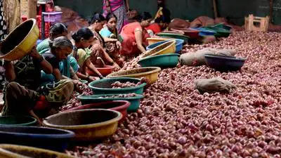 Onion prices have risen sharply across Mumbai, with retail rates reaching ₹ 80 per kg as fewer trucks