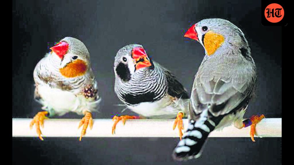 Over 150 years ago, Charles Darwin wrote, with some astonishment, that a range of animals appeared