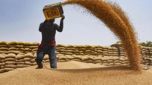 The government on Monday (August 24, 2026) lifted the export ban on wheat and wheat products