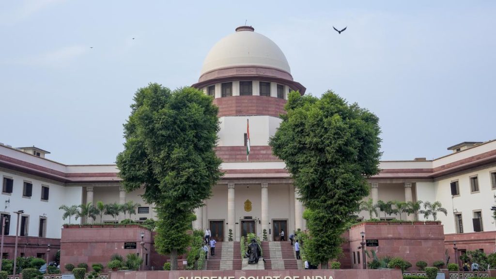 On May 20 last year, the top court had barred fresh law graduates from appearing in the entry-level