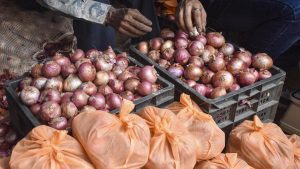 On Thursday (August 27), the price for a kilogram of onion: A practical reader guide