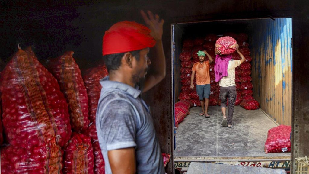 Unlike previous years, when the onion buffer was stored with traders: A practical reader guide