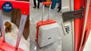 It looked like the sort of suitcase I would expect from a fashion-focused luggage brand such as Nasher