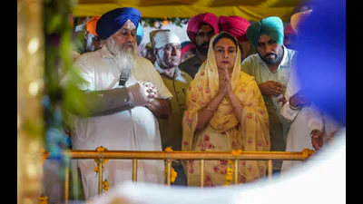 Punjab: Baba Bakala set for political showdown on Rakhar Punia today: A practical reader guide