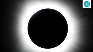 Sadhguru's Isha Foundation says eclipses can make the human system more receptive. Here's what it means