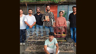 179 protected birds rescued from Pathankot pet shop, owner held: A practical reader guide