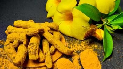 Today, the golden spice grown in the hills of Jaiñtia has reached the global stage, with Prime Minister