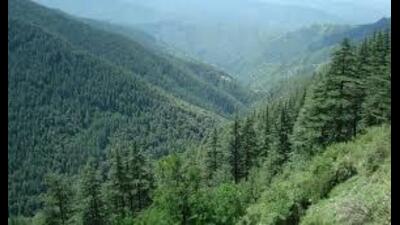 Himachal forest department inks pact with ISB to realise forest economy potential
