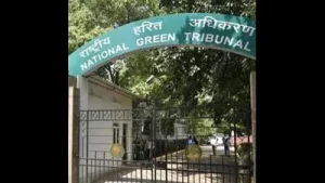 The NGT did not record any finding in the July 24 order establishing the alleged dumping