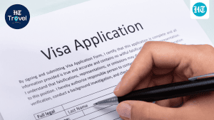 Visa service providers promise greater support for Indian travellers: A practical reader guide
