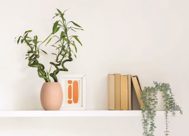 Japanese decor has won the internet: A practical reader guide