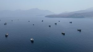 forces launched strikes on Tuesday (September 1, 2026) against Iran’s: A practical reader guide