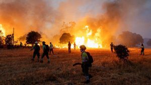 UN raises concerns over wildfires, heatwaves threaten air quality: A practical reader guide