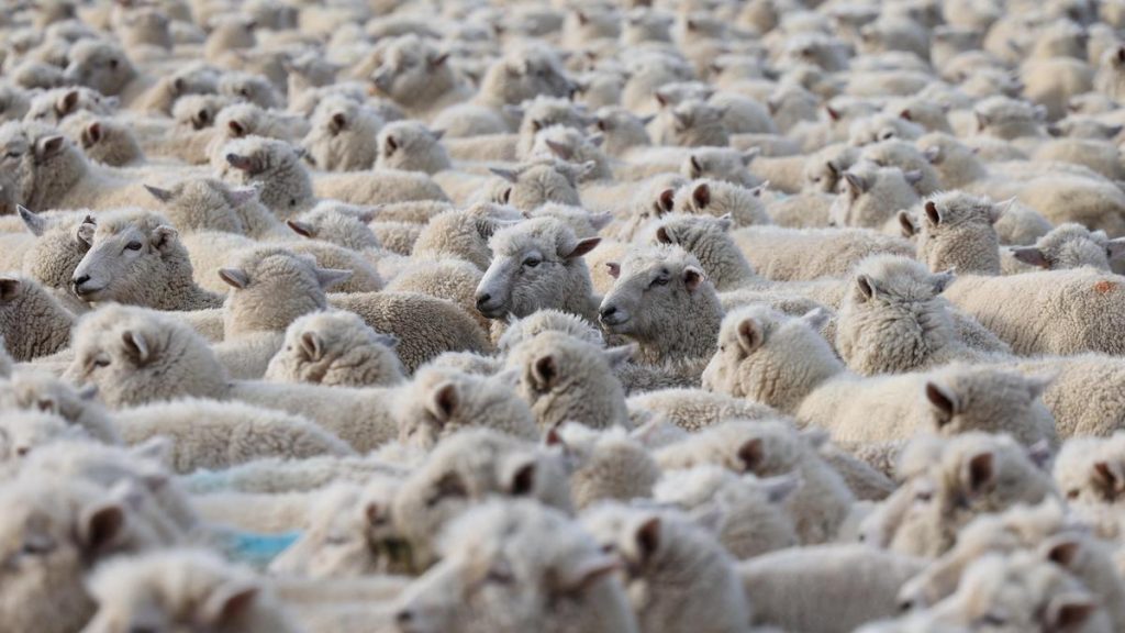 But thanks to an app helping herders navigate the risks that climate: A practical reader guide