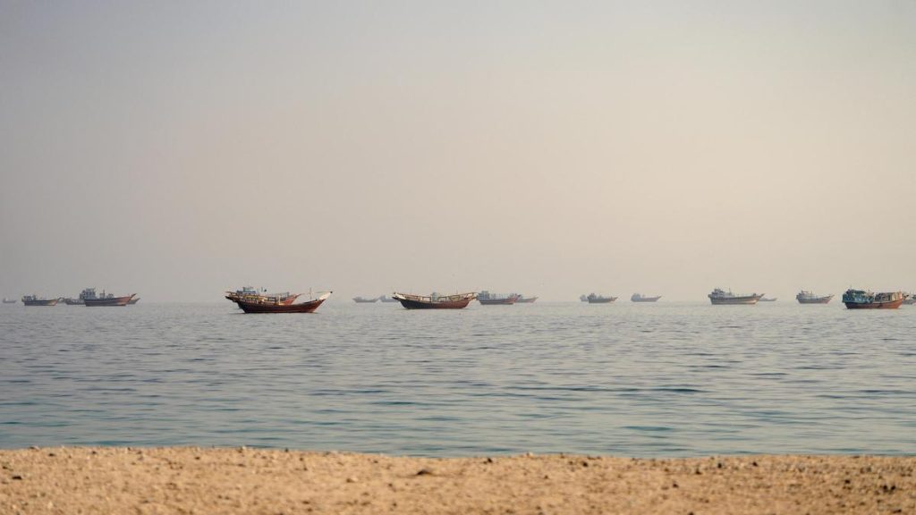 Indian national killed in attack on MV Cape Dao, argues Embassy: A practical reader guide