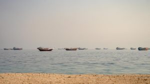 Indian national killed in attack on MV Cape Dao, argues Embassy: A practical reader guide