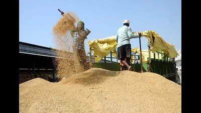 Most millers can only process about 70% of their paddy, according: A practical reader guide