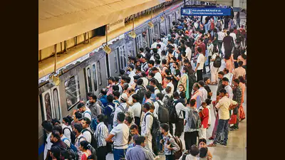 Delhi transport minister Pankaj Singh said on Thursday that most: A practical reader guide