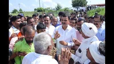 State agriculture minister Dattatray Bharne described the situation: A practical reader guide