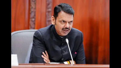 when you cannot convince people, confuse them,” Fadnavis added —: A practical reader guide