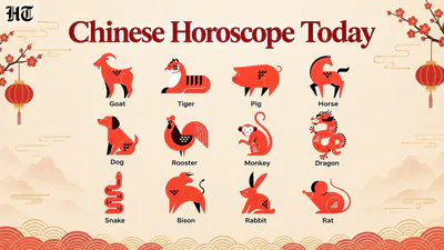 Today’s Chinese zodiac outlook encourages steady progress, practical: A practical reader guide
