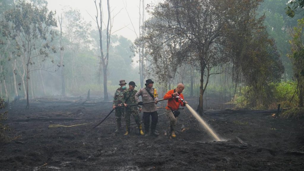 El Niño is a natural climate pattern, but this year’s unusually: A practical reader guide