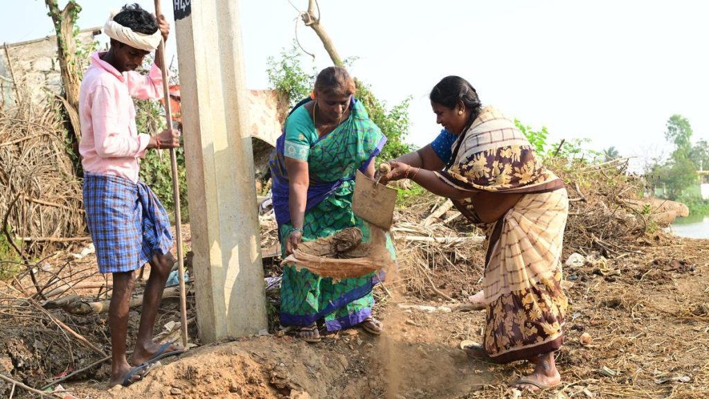 Rural jobs scheme shows modest uptick in August, but trails 2025: A practical reader guide